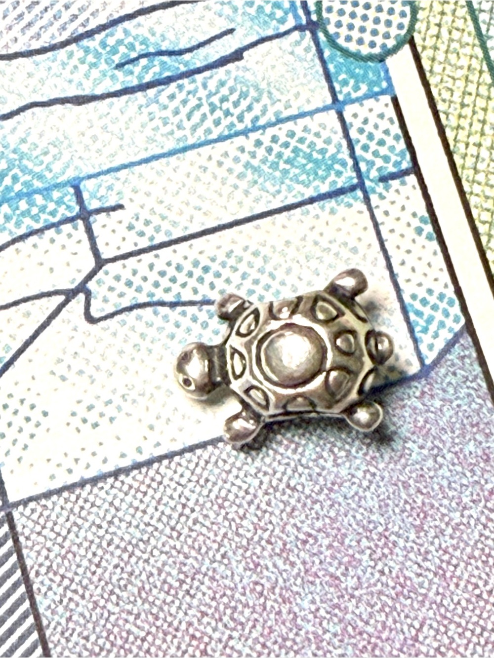 Pandora Silver Turtle Charm Bracelet Accent